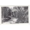 The Osgaig Road Isle of Raasay Postcard Scotland