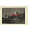Adjutant Bird, Stork Family, Birds, Book Illust...