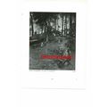 Wood Gatherers, Stanhope A Forbes (More On Reve...