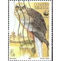 MALTA, BIRD, Marsh Harrier, Circus aeruginosus,...