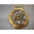 Very Old Original Well Polished Horse Brass ‘Leo’