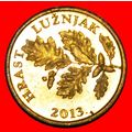 RED OAK (1993-2019): CROATIA ★ 5 LIPA 2013. MIN...