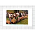Kilnsey Show Upper Wharfedale - 1988 Cutting