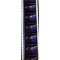 Back to the Future 2. Pk HCH - C076x . - 1 STRI...