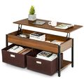FarmHouse Brown Lift-Top Multi Purpose Coffee T...