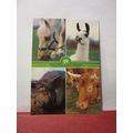 WOOD GREEN ANIMAL SHELTERS, WOOD GREEN, London ...