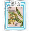 LAOS, FLOWER, Orchid, Odontoglossum luteo, blue...