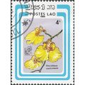 LAOS, FLOWER, Orchid, Oncidium varicosum, blue ...