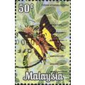 MALAYSIA, BUTTERFLY, Common Nawab, Polyura atha...
