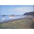 Vintage IOW PC 1976 - Shanklin esplanade and pi...