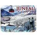 Juneau Alaska Glacier Wildlife and Mt Roberts T...