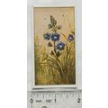 Vintage: Dutch card Jac. P. Thijsse, Lente No. ...