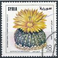 International Flower Show, Damascus: 18£ - Syri...