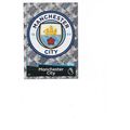 Match Attax 2018/19 217 Manchester City Club Badge