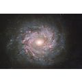 Spiral Galaxy NGC 3982 Ursa Major Constellation...