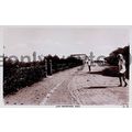 Yemen, Jopp Promenade, Aden, RP Postcard