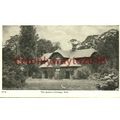 Queens Cottage, Kew, Surrey, G & P Postcard, 19...