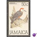 Jamaica 1980 50c Jamaican Woodpecker Unmounted ...