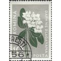 ROMANIA, FLOWER, Daphne Blagayana, grey 1957, 1...