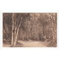Old Roman Road Green Street Green Postcard Kent