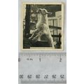 1935 De Reszke Our Favourites No. 39 Stolen Fru...