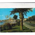 Mallorca Palma Paseo Maritimo Spain Postcard po...
