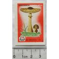 vintage Matchbox Label - 50 Drvaca - Suncanica