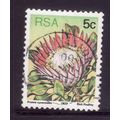 SOUTH AFRICA 1977 SUCCULENTS 5c P CYNAROIDES SG...