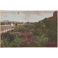 The Lily Pond and Gardens, Southsea Hampshire P...
