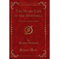 The Home-Life of the Spoonbill: The Stork and S...