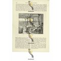 Shaving Skins To Make Kid Gloves, Book Illustra...