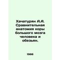 Khachaturian A.A. Comparative anatomy of the cortex of the great brain of humans
