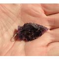 A Amethyst Arrowhead Pendant Stone Bead 1.375 I...