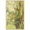 Elm Flower Fairy From WW2 Book Illustration Pos...