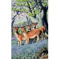 Forest Deer Beneath A Beech Tree Old Childrens ...