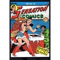 Sensation Comic Book Christmas Wonder Woman Iss...