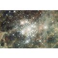 Hodge 301 Tarantula Milky Way Nebula Star Clust...
