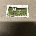 FRANCE -2014 (LETTER 20g) 'COWS -LOURDAISE'