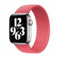 Single-turn Nylon Woven Watchband For Apple Wat...