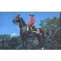 Canada Postcard - Royal Canadian Mounted Police
