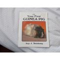 GUINEA PIG (19/01) # #