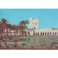 Algeria Hotel Touggourt Piscine Oasis Postcard