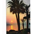 Cote D'Azur Coucher de Soleil France Postcard u...