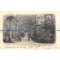 R090678 Wilderness Avenue. Hampton Court. S. an...
