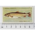 1933 Players Fresh-water Fishes, pink back No. ...