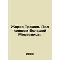 Zhores Troshev. Under the bucket of the Big Bea...