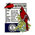 Kentucky The Bluegrass State Montage Fridge Magnet