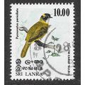 SRI LANKA BIRDS YELLOW EARED BULBUL USED