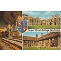 Corpus Christi College, Cambridge - Salmon Came...