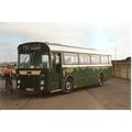 Colour Photograph of Maidstone & District Motor...